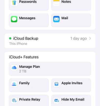 Screenshot 2025-08-29 at 5.30.41 PM